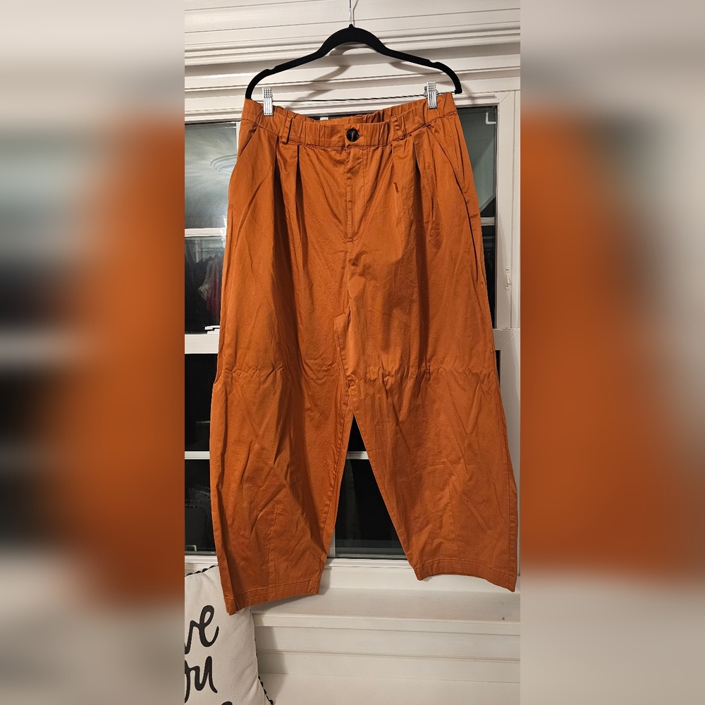 Nwot Medium Maeve pants from Anthropologie